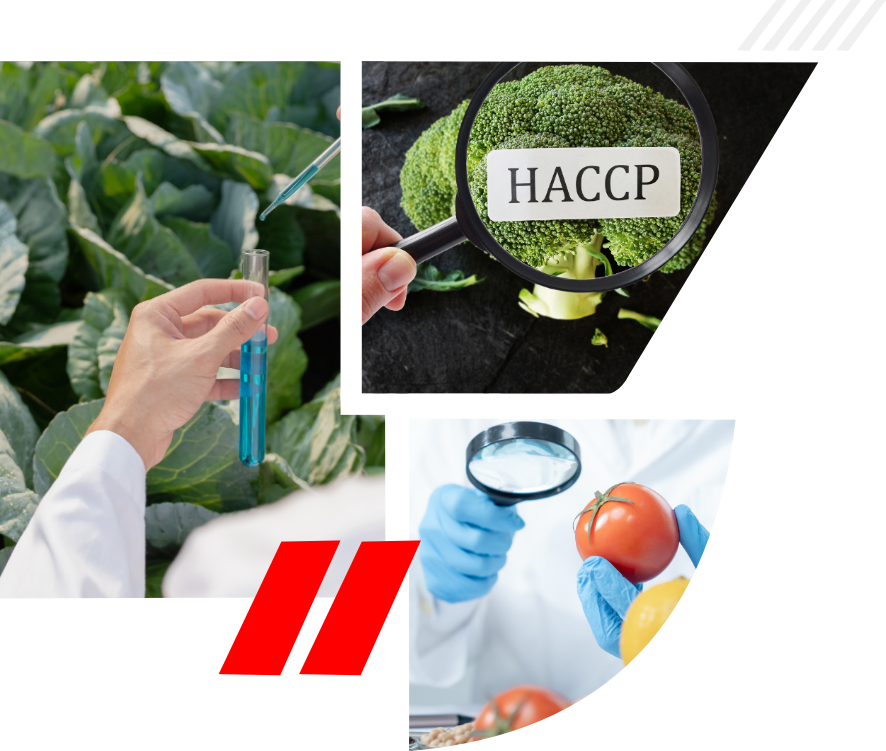 Certificazione HACCP